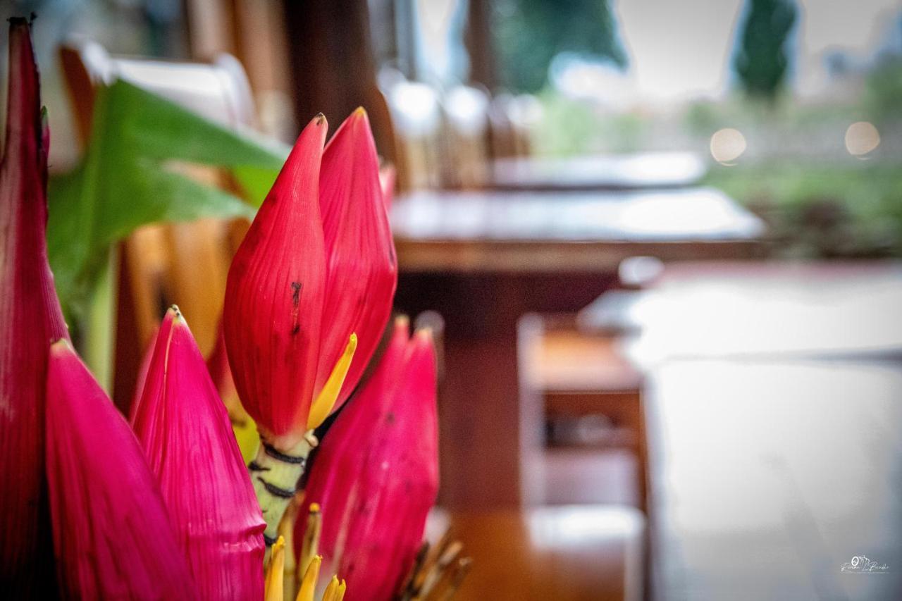 Sapa Riverside Ecolodge & Spa Екстериор снимка